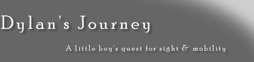 Dylan's Journey: A little boy's quest for sight and mobility